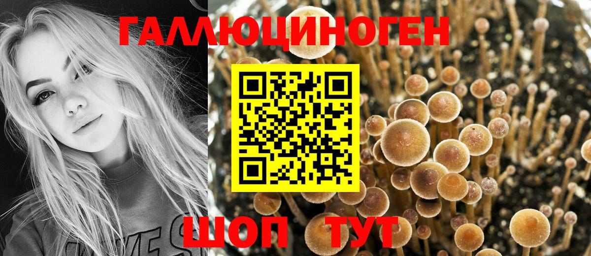 Псилоцибиновые грибы прущие грибы Благовещенск