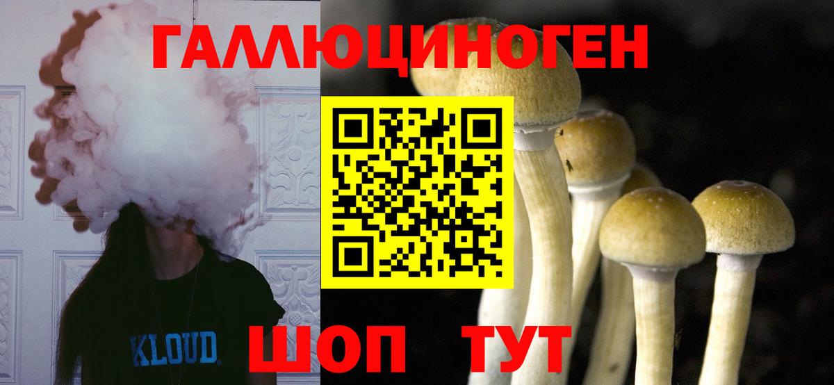 Благовещенск  Псилоцибиновые грибы Cubensis  сколько стоит  Вход с VPN 